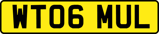 WT06MUL