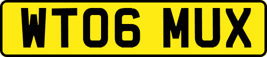 WT06MUX