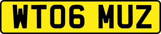 WT06MUZ