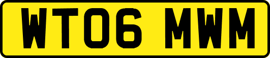WT06MWM