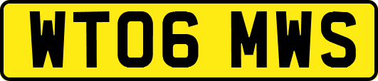 WT06MWS