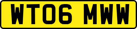 WT06MWW