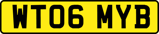 WT06MYB