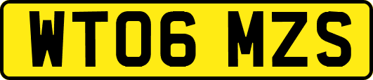 WT06MZS