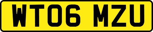 WT06MZU