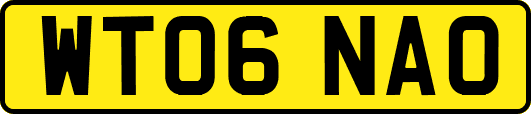 WT06NAO