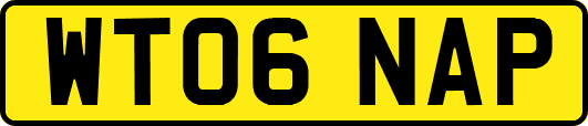 WT06NAP