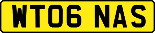 WT06NAS