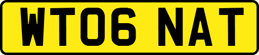 WT06NAT