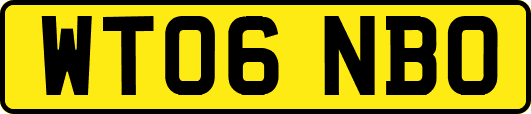 WT06NBO