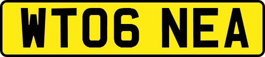 WT06NEA