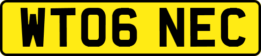 WT06NEC