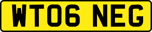 WT06NEG