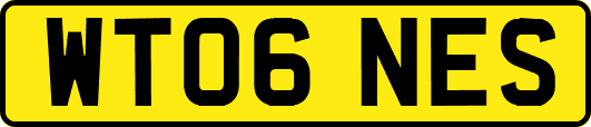 WT06NES
