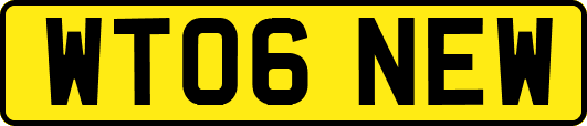 WT06NEW