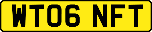 WT06NFT