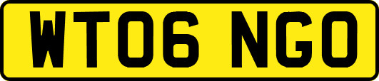 WT06NGO