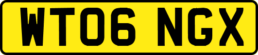 WT06NGX