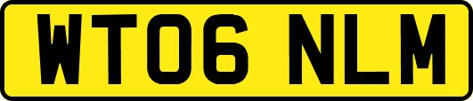 WT06NLM