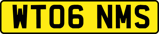 WT06NMS
