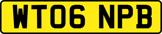 WT06NPB