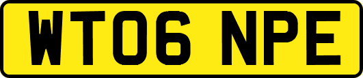 WT06NPE