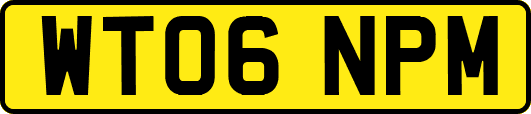 WT06NPM