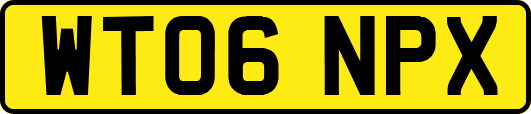 WT06NPX