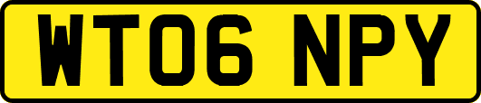 WT06NPY