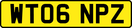 WT06NPZ