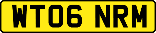 WT06NRM