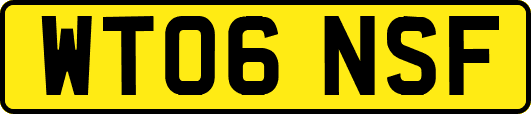 WT06NSF