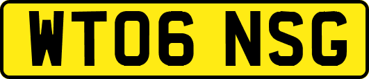 WT06NSG