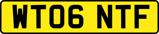 WT06NTF