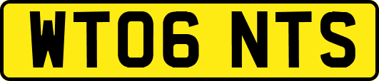 WT06NTS
