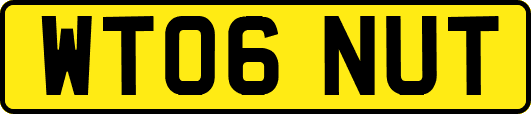 WT06NUT