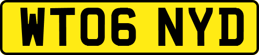 WT06NYD