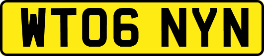 WT06NYN