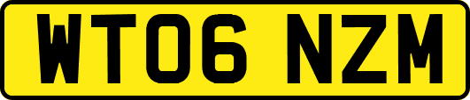 WT06NZM