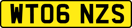 WT06NZS