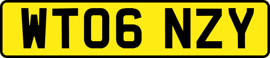 WT06NZY