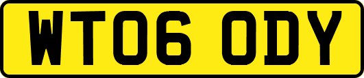 WT06ODY