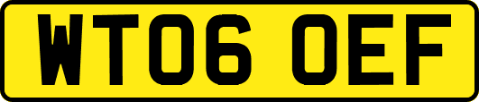 WT06OEF