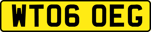 WT06OEG