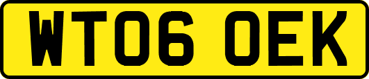 WT06OEK