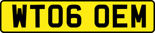WT06OEM