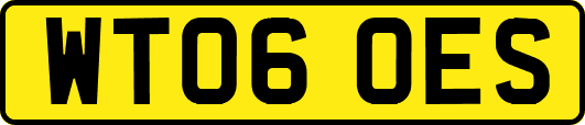 WT06OES