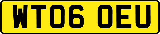WT06OEU