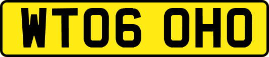 WT06OHO