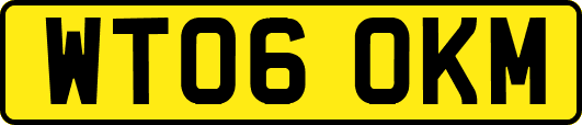 WT06OKM